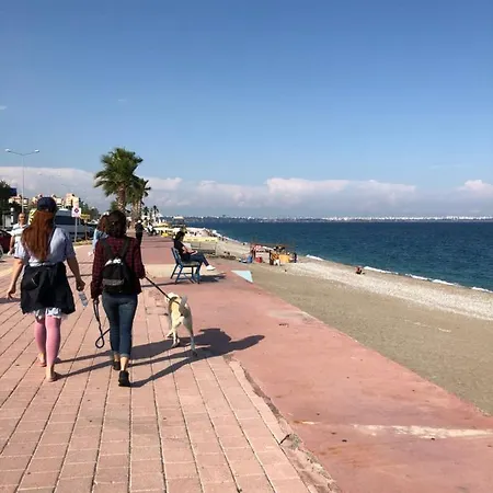 Perfect Location And Antalya